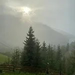 тиша *
